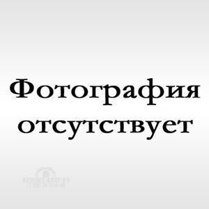 Решётка передняя мини d 76 высокая "Toyota RAV-4" 2006